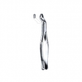 Extracting Forceps American Pattern